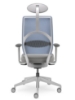 Picture of UREDSKA ERGONOMSKA STOLICA - ARCUS 241