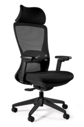 Picture of UREDSKA ERGONOMSKA STOLICA - HOVE