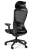 Picture of UREDSKA ERGONOMSKA STOLICA - HOVE