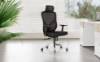 Picture of UREDSKA ERGONOMSKA STOLICA - ERGONO-F