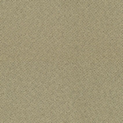 Tonal 3205