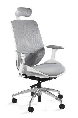 Picture of UREDSKA ERGONOMSKA STOLICA - HERO