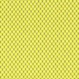 BL410 Mustard