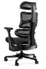 Picture of ERGONOMSKA STOLICA - ERGOTHRONE