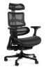 Picture of ERGONOMSKA STOLICA - ERGOTHRONE