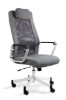 Picture of UREDSKA ERGONOMSKA STOLICA - FOX