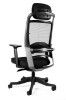 Picture of UREDSKA ERGONOMSKA STOLICA - FULKRUM
