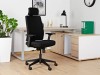 Picture of UREDSKA ERGONOMSKA STOLICA - SHELL