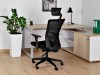 Picture of UREDSKA STOLICA - ERGONIC