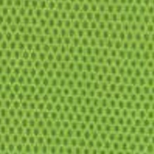 Zelena (W-80-9)