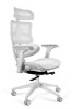 Picture of ERGONOMSKA STOLICA - ERGOTECH 