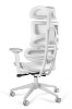 Picture of ERGONOMSKA STOLICA - ERGOTECH 