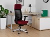 Picture of UREDSKA ERGONOMSKA STOLICA - VELO