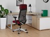 Picture of UREDSKA ERGONOMSKA STOLICA - VELO