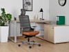 Picture of UREDSKA ERGONOMSKA STOLICA - SPINELLY