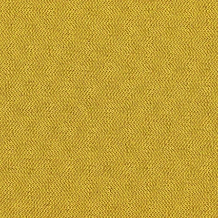 2061