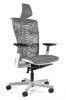 Picture of UREDSKA ERGONOMSKA STOLICA - REYA