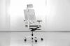 Picture of UREDSKA ERGONOMSKA STOLICA - FLEXY