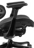 Picture of ERGONOMSKA STOLICA - ERGOTHRONE