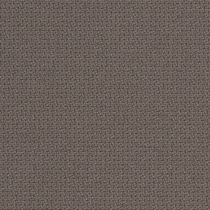 4202