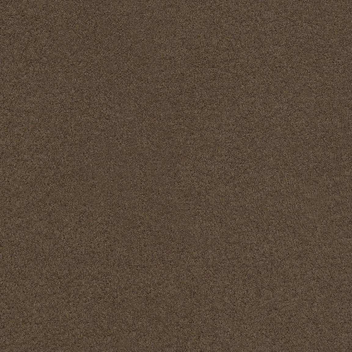 C0010