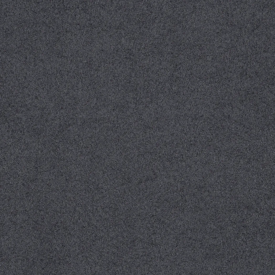 C66005