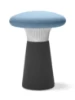 Picture of STOLICA - FUNGHI