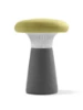 Picture of STOLICA - FUNGHI