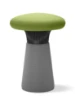 Picture of STOLICA - FUNGHI