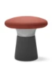 Picture of STOLICA - FUNGHI