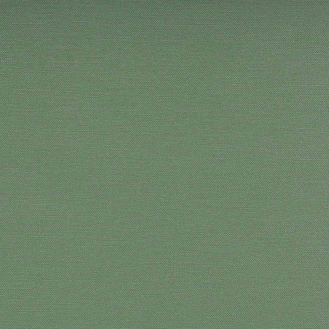 S5444