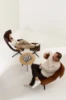 Picture of FOTELJA - FLEXI LOUNGE L