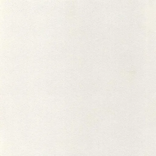 Bijela RAL9016