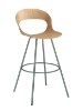 Picture of BARSKA STOLICA - LOTUS