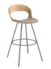 Picture of BARSKA STOLICA - LOTUS 02