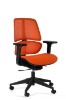 Picture of UREDSKA STOLICA - BERGO