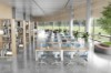 Picture of STOLICA - ROBIN ECO