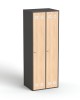 Picture of GARDEROBNI UREDSKI ORMAR - SO SV-310