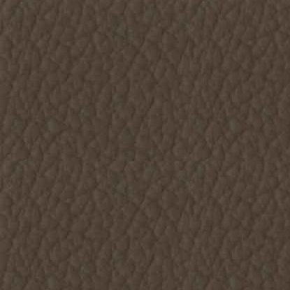 Kaki (PF15)