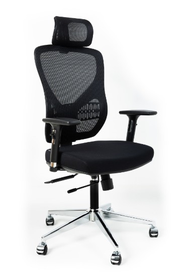 Picture of UREDSKA ERGONOMSKA STOLICA - ERGONO-F